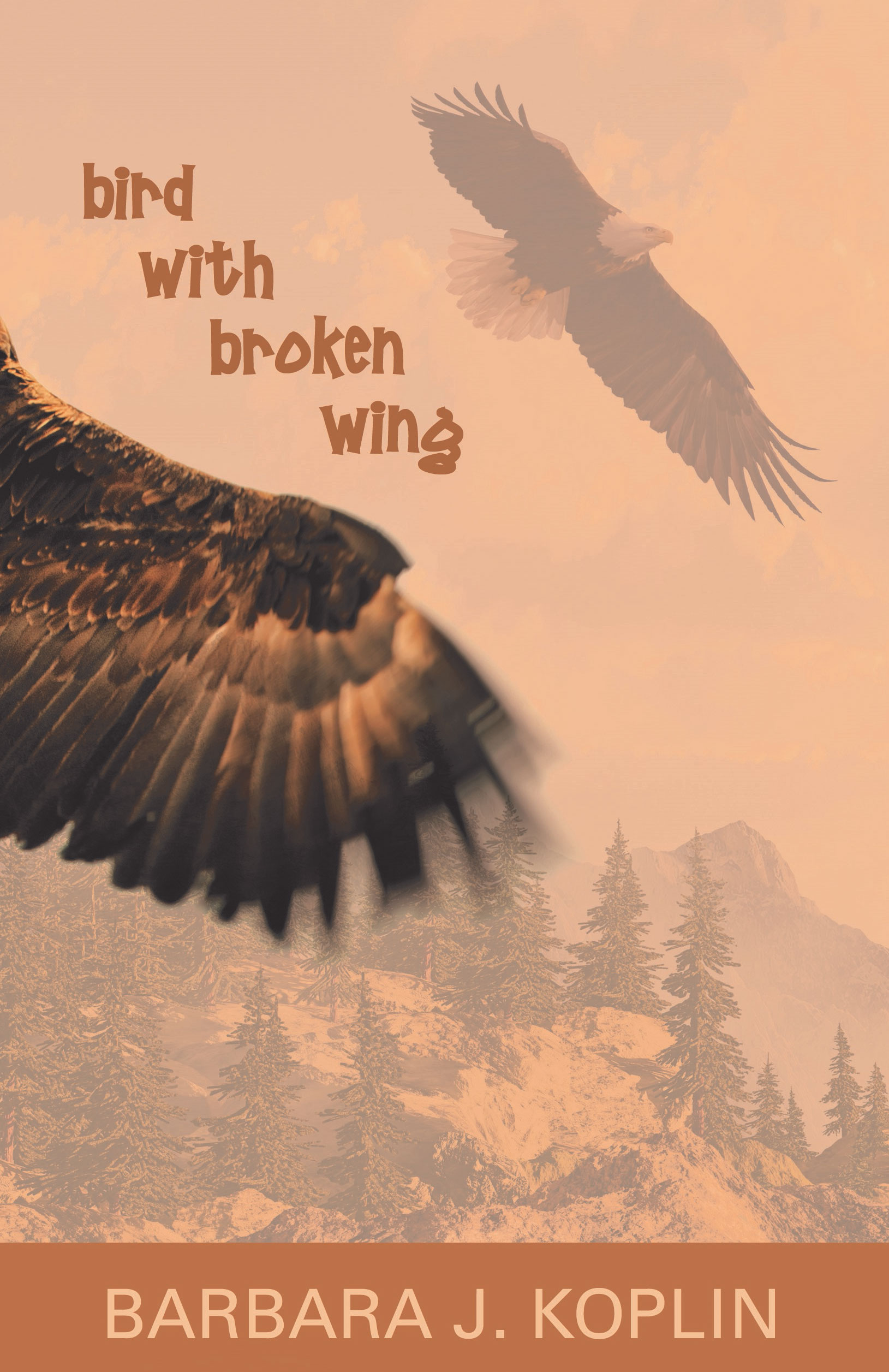 Bird with Broken Wing